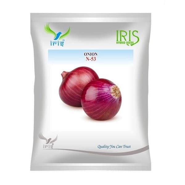 Iris N-53 Hybrid OP Onion Seeds, Attractive Red Globe Shaped Bulbs, Open Pollinated