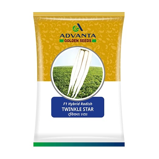 Advanta F1 Hybrid Twinkle Star Radish Seed, Smooth Root Surface And Good Taste
