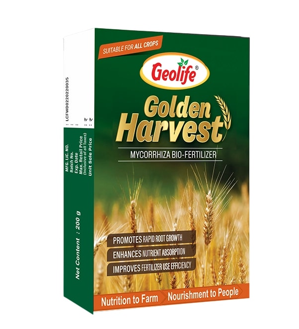 Geolife Golden Harvest Mycorrhiza Biofertilizer For Root Growth and Nutrient Uptake