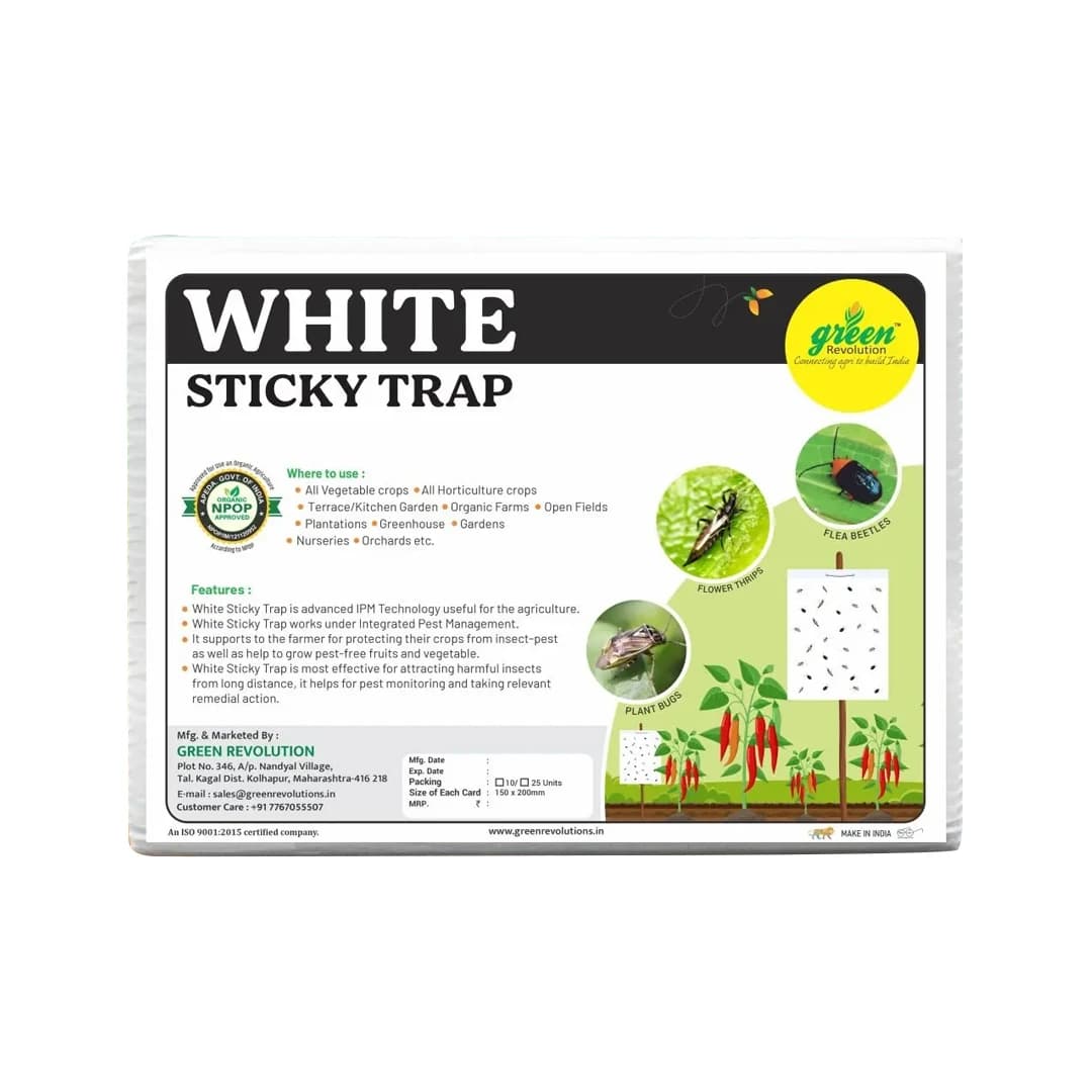 Green Revolution White Sticky Traps A5 Size, Recommended For Flower Thrips Or Black Thrips. - Image 1