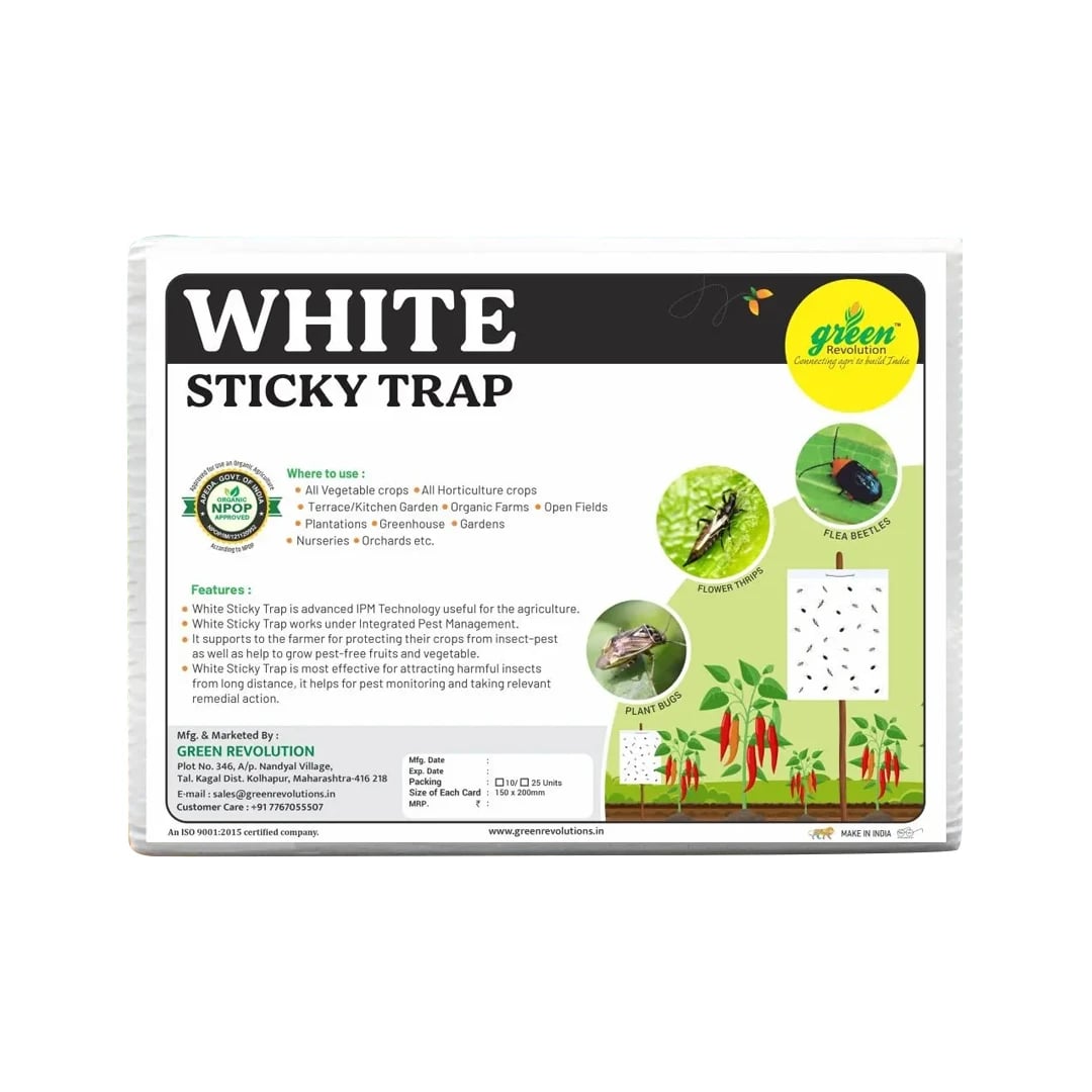 Green Revolution White Sticky Traps A5 Size, Recommended For Flower Thrips Or Black Thrips.