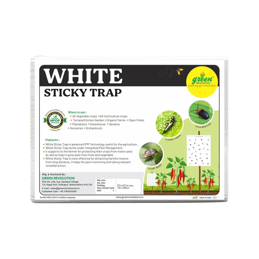 Green Revolution White Sticky Traps A5 Size, Recommended For Flower Thrips Or Black Thrips.