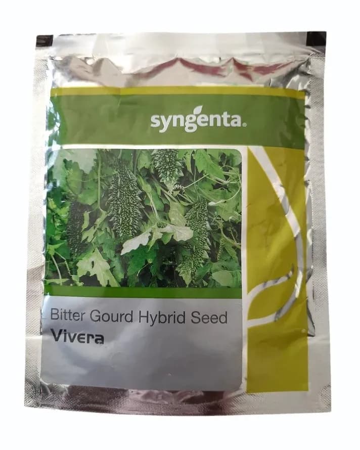 Syngenta Vivera Bitter Gourd Hybrid Seeds - Image 1
