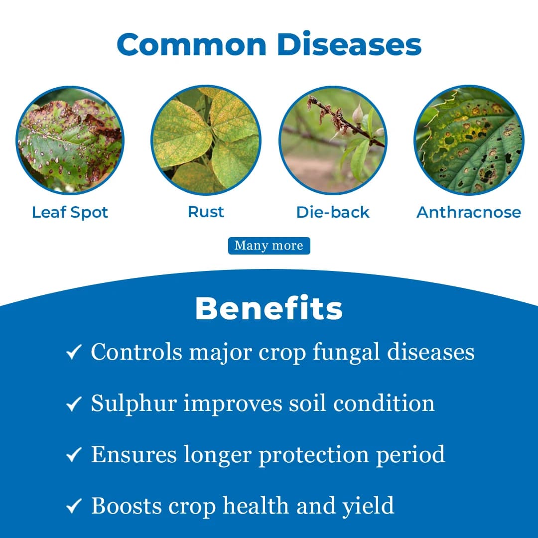 Darrick Tebulur Fungicide - Image 3