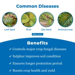 Tebulur Tebuconazole 10% + Sulphur 65% WG , Advance Broad Spectrum Premix Fungicides 3
