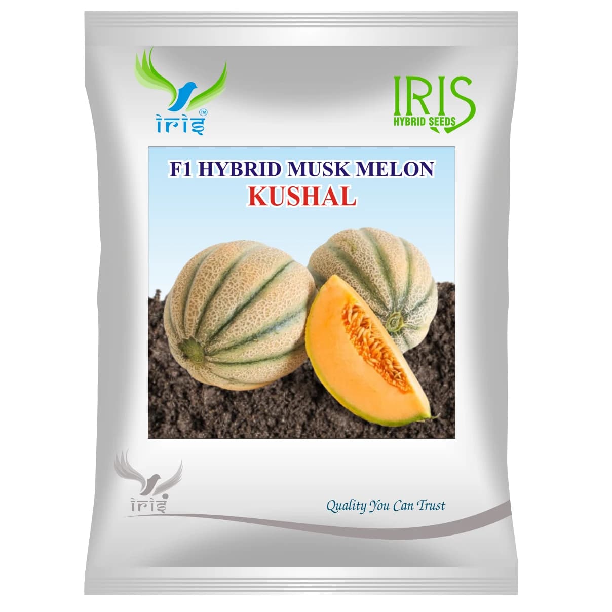 Iris KUSHAL F1 Hybrid Musk Melon Seeds, High Yield, Sweet Orange Flesh and Green Stripes Variety - Image 1