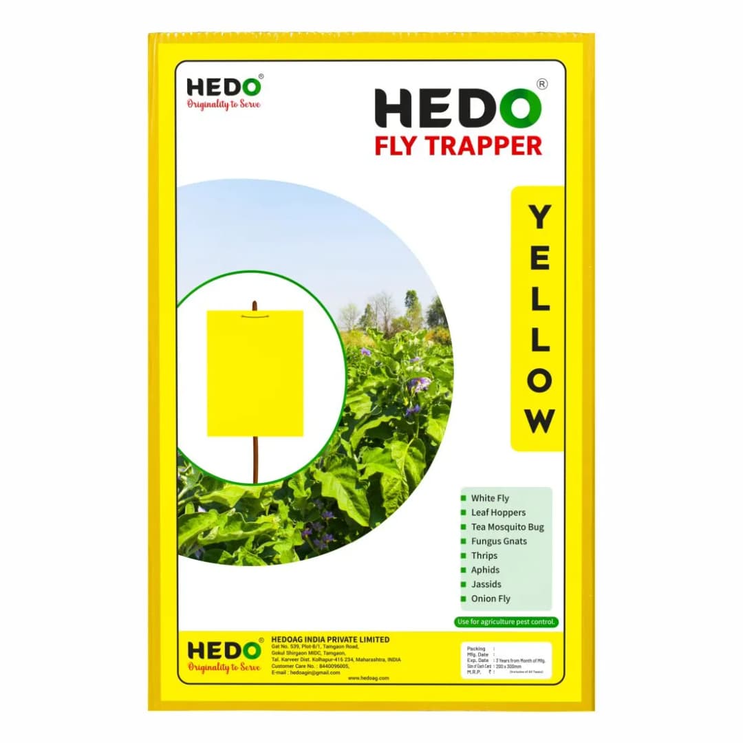 HEDO Eco A4 Size Yellow Sticky Trap For The Insects, Best For Organic Vegetable And Fruits Farming Pest Control