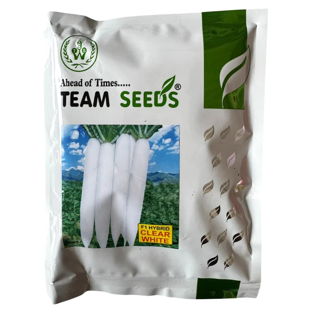 Team Seed Clear White F1 Hybrid Radish Seeds, Early Maturity Variety, High Yielding