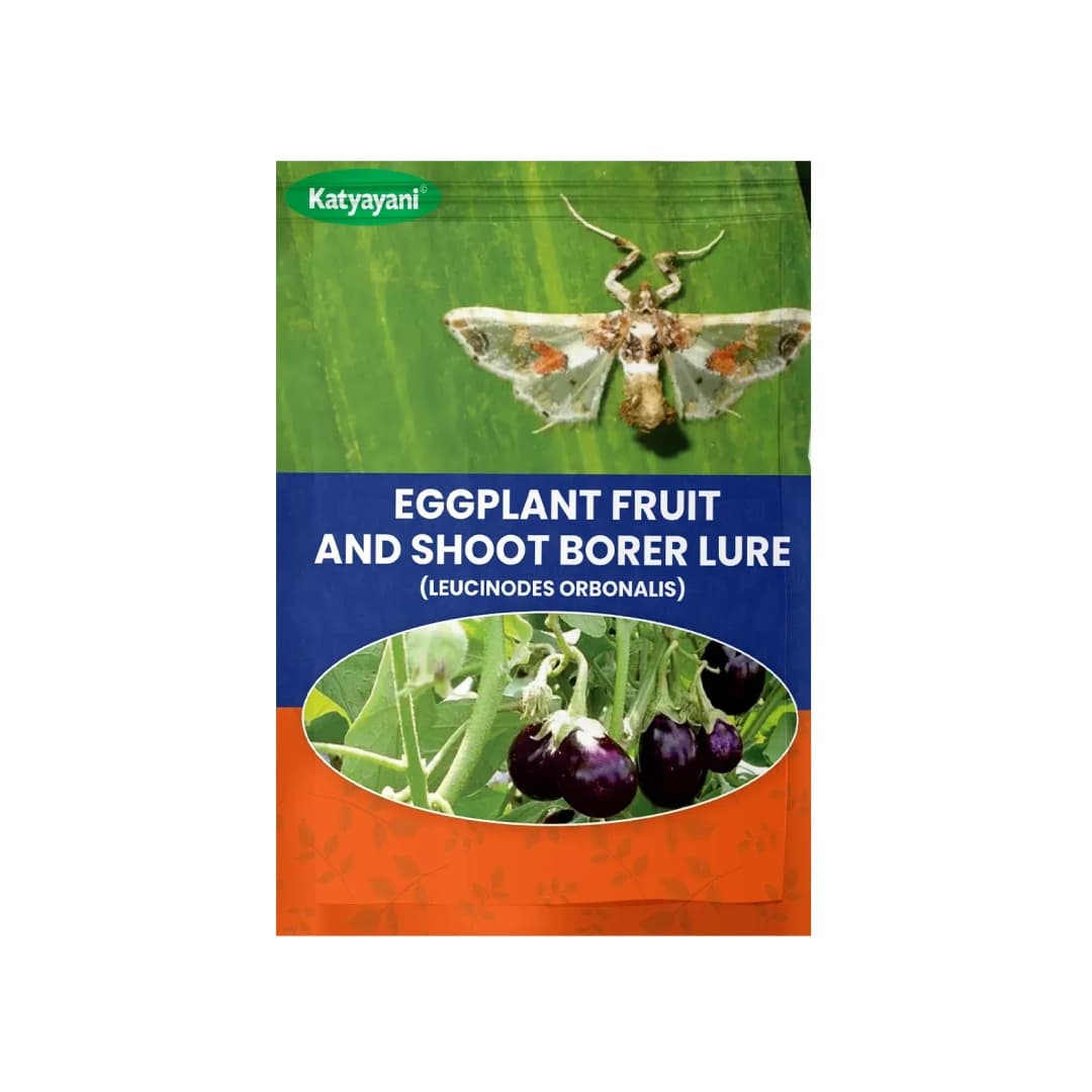 Katyayani Eggplant Fruit & Shoot Borer Lure Leucinodes Orbonalis, Effective Pest Management