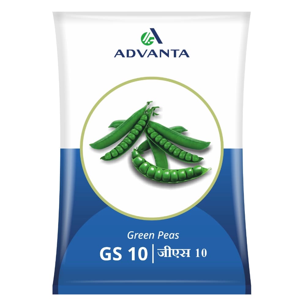 Advanta GS 10 Green Peas Seeds, Medium Tall with Well Spread Lateral Branches.