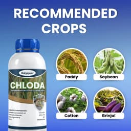 Katyayani Chloda Chlorantraniliprole 9.3% + Lambda Cyhalothrin 4.6% ZC Insecticide, for Effective Pest Control for Crops 4