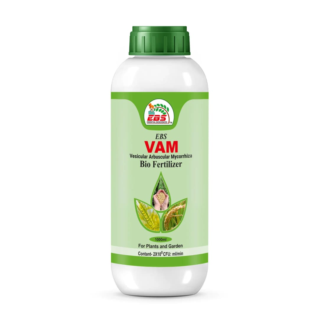 EBS VAM Bio Fertilizer (Vesicular Arbuscular Mycorrhizal) To Improve Soil Fertility In Your Farm & Garden