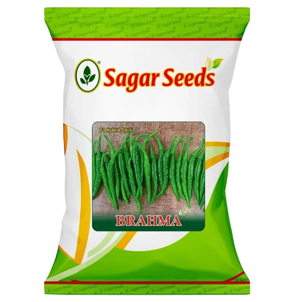 Sagar Brahma Chilli Seeds - (Mirchi Seeds) Long and Uniform, Shiny Green And Medium Pungency - Image 1