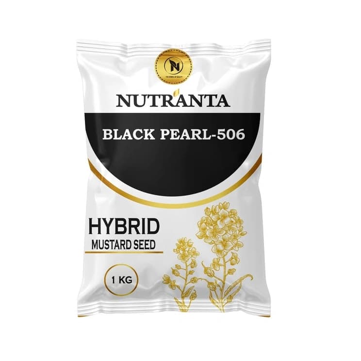 Nutranta BLACK PEARL-506 Hybrid Mustard Seeds, High Yield, Early Maturity & Disease Tolerant Variety - Image 1