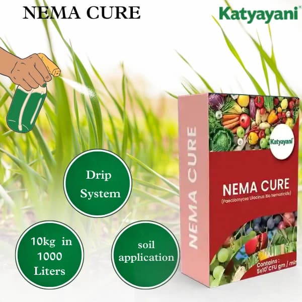 Katyayani Nema Cure Paecilomyces Lilacinus Bio Fungicide Powder Advanced Biological Fungicide For Nematode Control and Improved Soil Health - Image 5