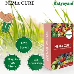 Katyayani Nema Cure Paecilomyces Lilacinus Bio Fungicide Powder Advanced Biological Fungicide For Nematode Control and Improved Soil Health 5
