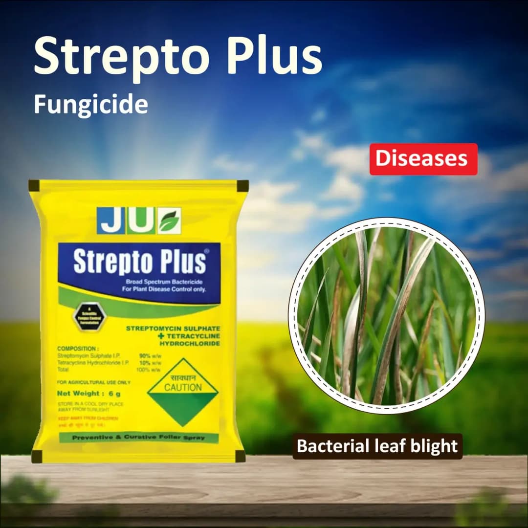 JU Strepto Plus Broad Spectrum bactericide for Plant Disease Control - Image 7