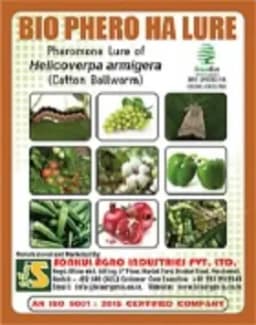 Combo Pack Bio Phero Ha Helicoverpa Armigera Lure (Cotton Bollworm) & Funnel Trap 1