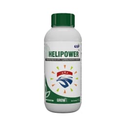 GSP Helipower Chlorantraniliprole 9.3% + Lambda Cyhalothrin 4.6% ZC Insecticide, Use For Cotton, Soybean, Paddy, Pigeon Peas, Brinjal and Okra 1
