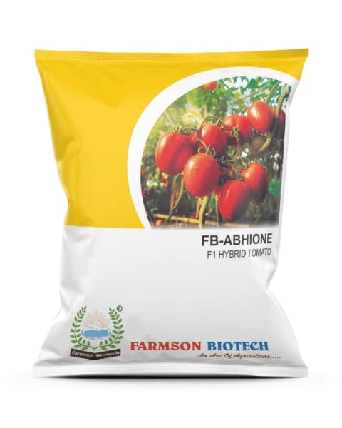 Farmson FB Abhione F1 Hybrid Tomato Seeds, (Oval and Red) TLCV Tolerance Variety