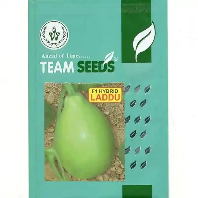 Team Seeds F1 Hybrid Laddu Bottle Gourd Seeds, Good Quality And High Yielding - Image 1