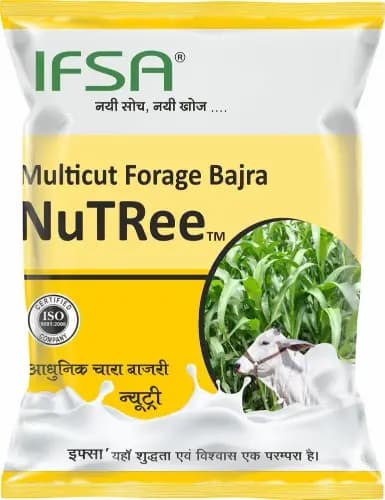IFSA Multicut Forage Bajra Seeds NuTRee - Image 1
