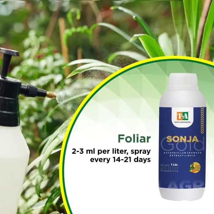Titan Agritech Sonja Gold Seaweed Extract Liquid 30% Biostimulant, Boosts Root System And Nutrient Mobility - Image 4