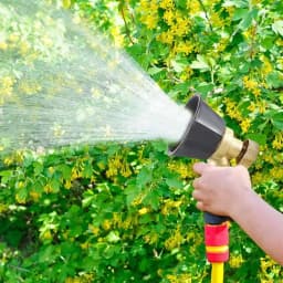 Radhe Agri Adjustable Mist Nozzle, Sprayer Pump Accessories, Agriculture And Gardening Sprayer Pump Use 4