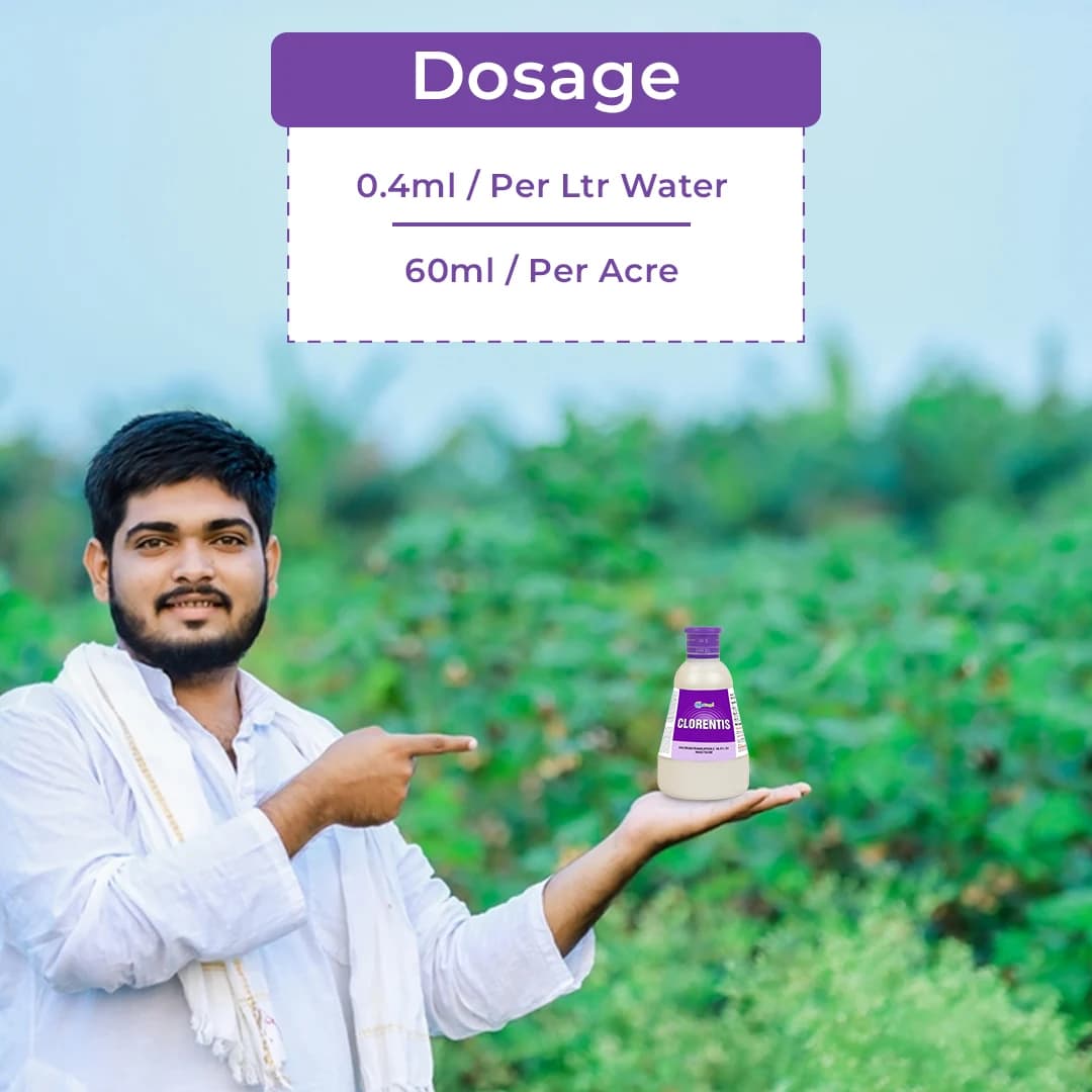 क्लोरेंटिस - क्लोरेंट्रानिलिप्रोले 18.5% एससी. एंथ्रेनिलिक डायमाइड ब्रॉड स्पेक्ट्रम कीटनाशक। - Image 5