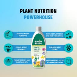 BloomBuddy Organic Seaweed Extract Liquid Fertilizer, Growth Promoter For Indoor & Outdoor Plants 8