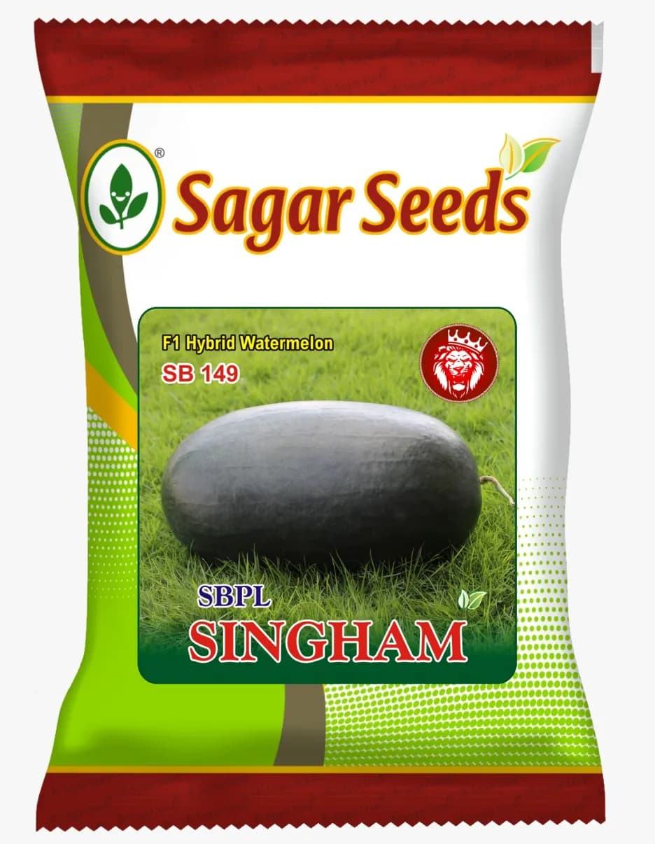 Sagar Singham F1 Watermelon Seeds, High Yielding Variety, Dark Black Skin Red Flesh, Ice Box Segment
