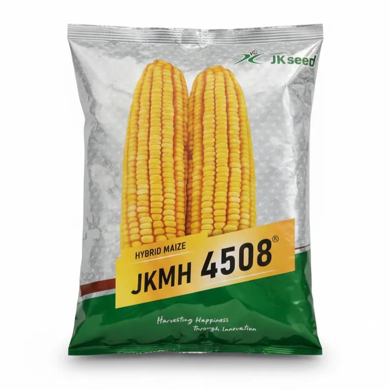 JKMH 4508 F1 Hybrid Maize Seeds, High Yield, Bold Shiny Grains And Stay-Green Fodder - Image 1