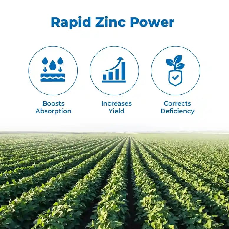 Zinc Easy Zn-EDTA 12% Quickly soluble in water, Helps in Grain Formation, Micro Nutrient Fertilizer - Image 3