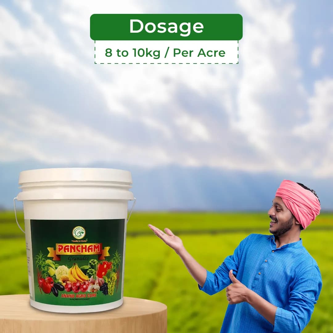 Anand Pancham Granules (Zyme Granules), Unique Formulation to Increase Plant Growth and Yield, Enhances The Root And Shoot Development - Image 5