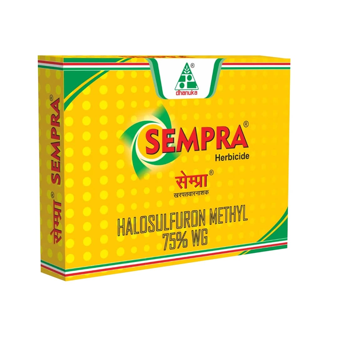 Dhanuka SEMPRA Halosulfuron Methyl 75% WG Herbicide, Post-Emergence, Cyperus Control In Crops