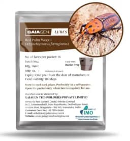 Gaiagen RPW Lure With Insect Bucket Traps, Pheromone Lure For Red Palm Weevil (Rhynchophorus Ferrugineus), IMO Certified. 3