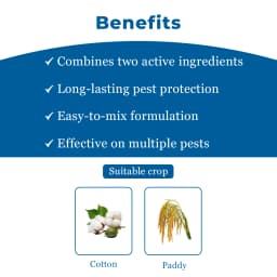 Adama Tapuz Buprofezin 15% + Acephate 35% WP, Long-Lasting and Effective Tool for BPH and WBPH in Rice 4