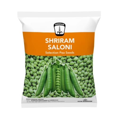 Shriram Saloni Hybrid Pea Seeds, Mattar Ke Beej, Lila Vatana Na Beej, Heavy Bearing And High Yielder - Image 1