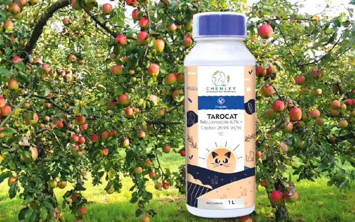 Chemley Tarocat Fungicide Tebuconazole 6.7% + Captan 26.9% SC, Apple & Chilli Crops - Image 2