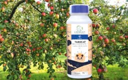 Chemley Tarocat Fungicide Tebuconazole 6.7% + Captan 26.9% SC, Apple & Chilli Crops 2