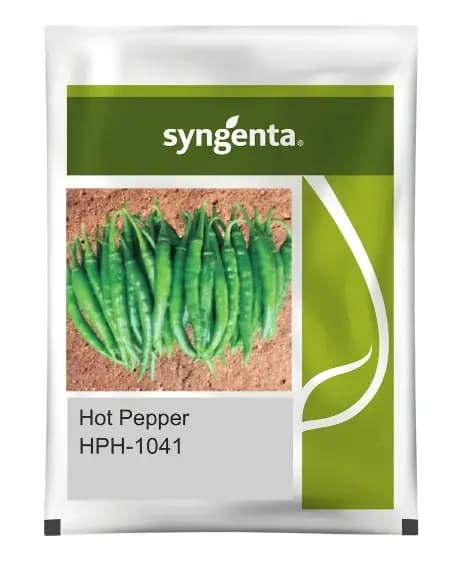Syngenta HPH-1041 Hybrid Hot Pepper Seeds High Yield Red Chilli Seeds - Image 1