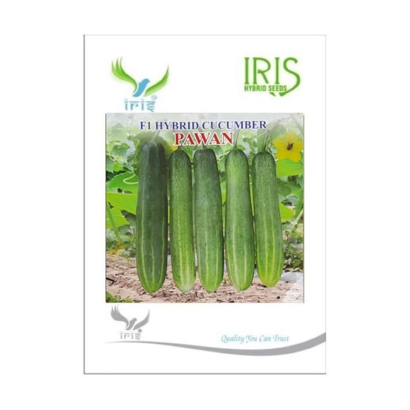 Iris Pawan F1 Hybrid Cucumber Seeds, Early Maturity, High Yield And Heat Tolerant Variety - Image 1