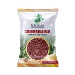 Sri Sai Forestry Sorghum Sudan Grass Fodder Seeds For Goat And Cow, Red Sudan Multi Cut Grass Seeds 1