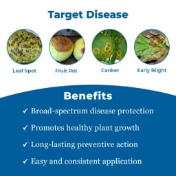 Crystal Blue Copper, Copper Oxychloride 50% WP Fungicide, Control Fungal, Bacterial Diseases By Its Contact Action 3
