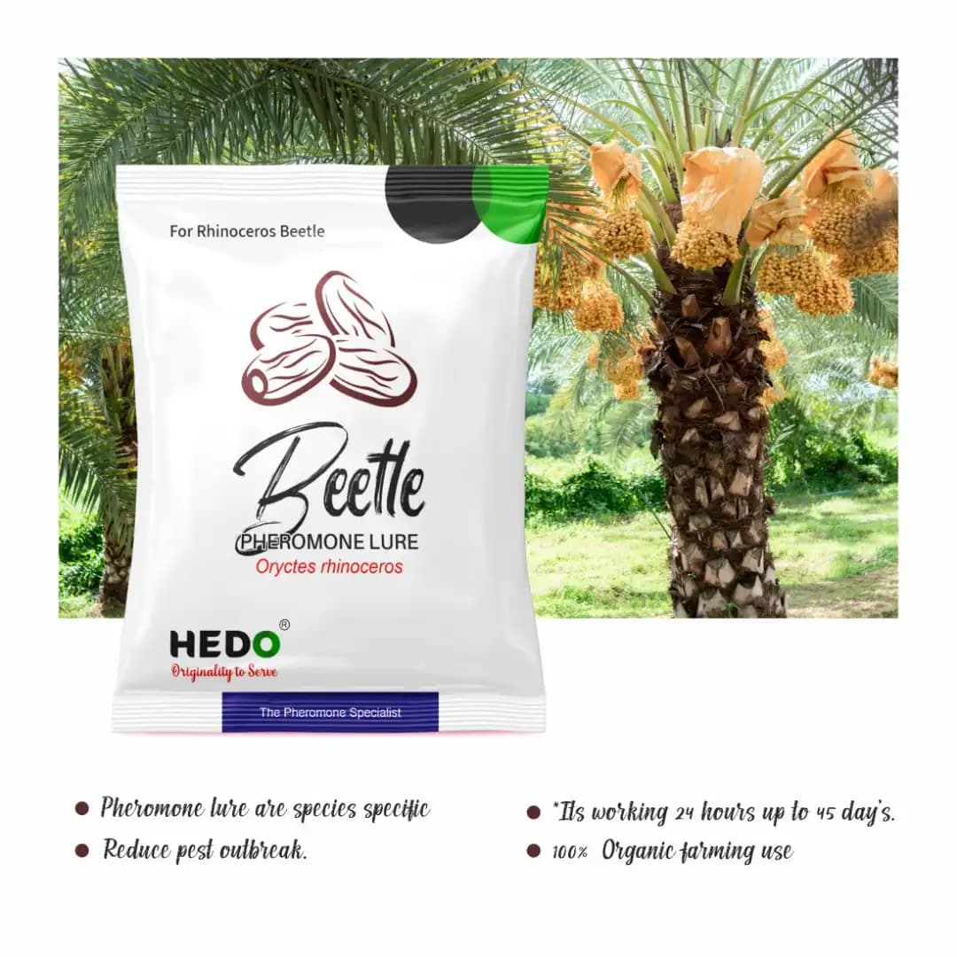 HEDO Rhinoceros Beetle Bucket Trap With Pheromone Lure, Effective Control Rhinoceros Beetle For Coconut, Date Palm, Oil Palm, Arecanut Palm - Image 2
