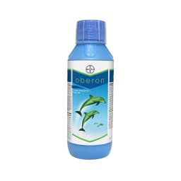 Bayer Oberon - Spiromesifen 22.9% SC Effective Against Mites, White Fly on Vegetables, Fruits, Cotton, and Tea 1