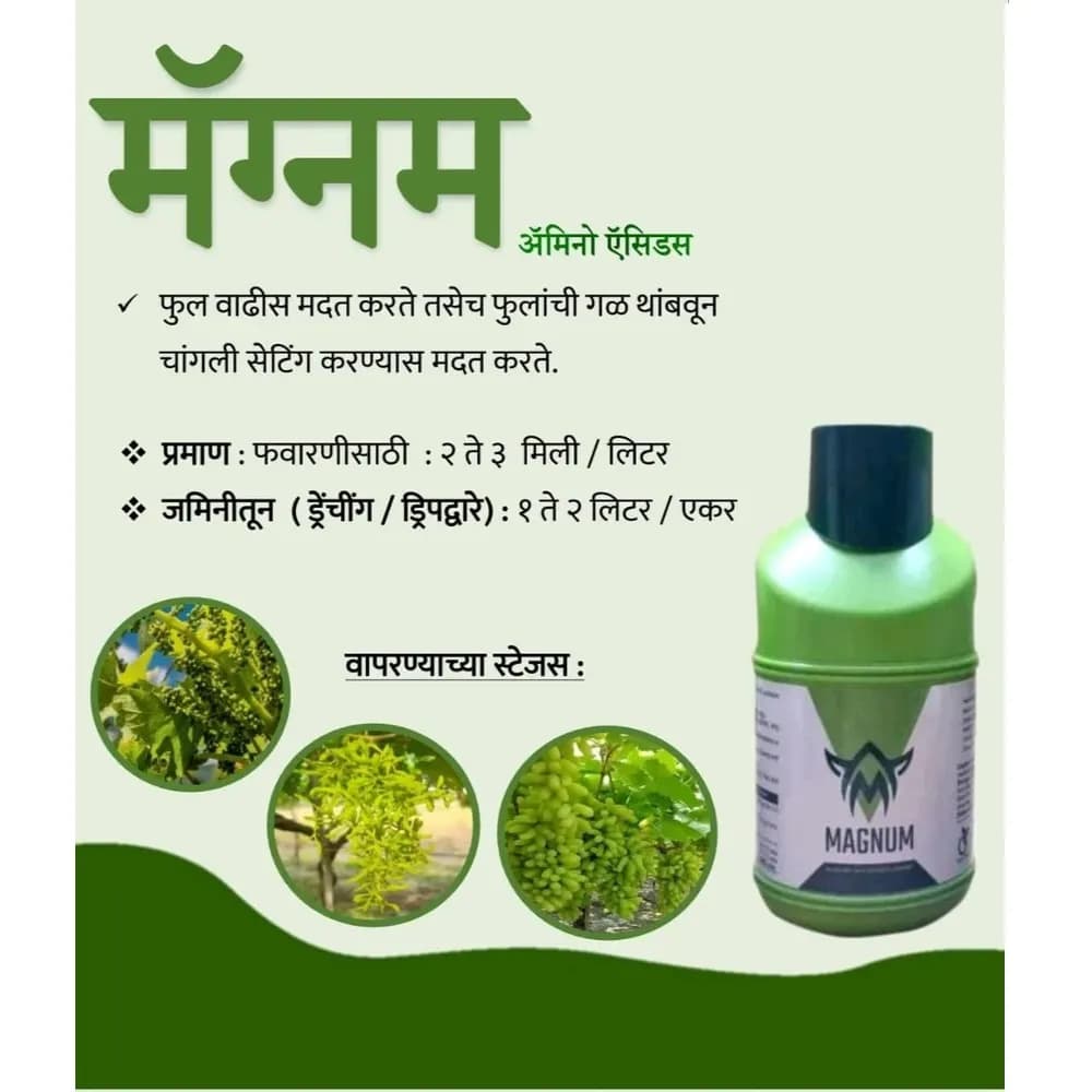 Octopus Magnum Amino Acid Fertilizer 62.5%, Boost Crop Growth & Enhances Fruit Quality - Image 2