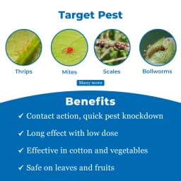 पीआई इंडस्ट्रीज फोस्माइट एथियॉन 50% ईसी कीटनाशक, मकड़ी, स्केल्स, थ्रिप्स, सफेद मक्खी आदि को नियंत्रित करने के लिए उपयोग करें 3