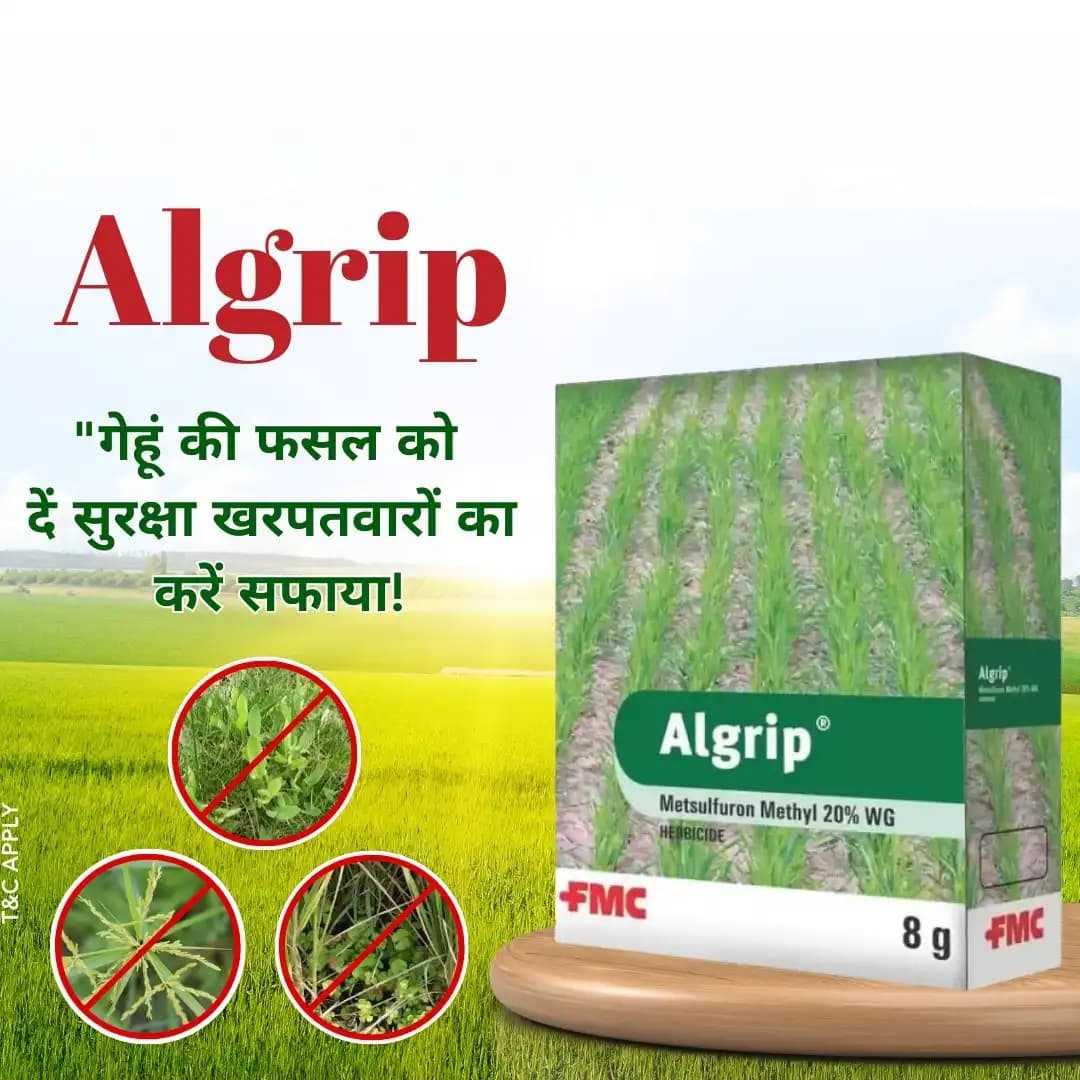 FMC Algrip Metsulfuron Methyl 20% WG Herbicide, Systemic, Post-Emergent Herbicide - Image 2