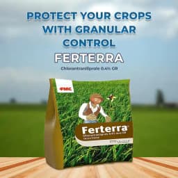 FMC Ferterra Chlorantraniliprole 0.4% ww GR Insecticide, Effective For Borer Control In Rice And Sugarcane Crops. 2